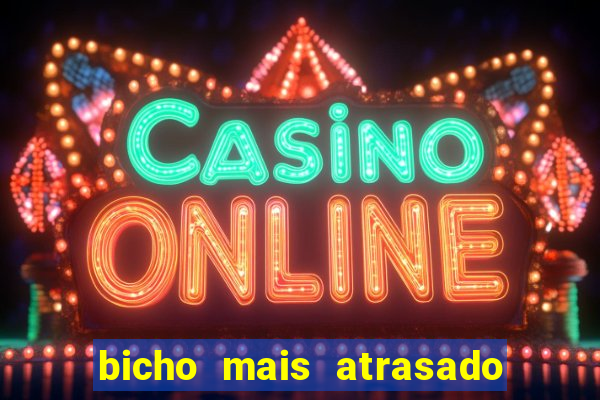 bicho mais atrasado na bahia